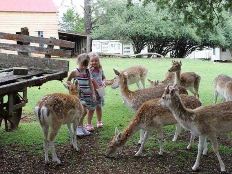 Deer Park Motor Inn Armidale Zewnętrze zdjęcie